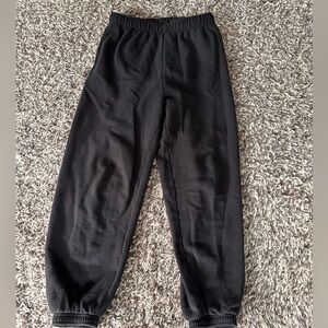 TNA/Aritiza Sweatpants
